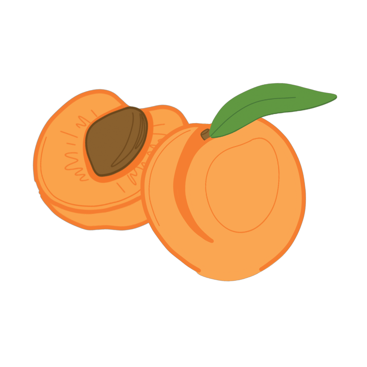 Abricot Romarin