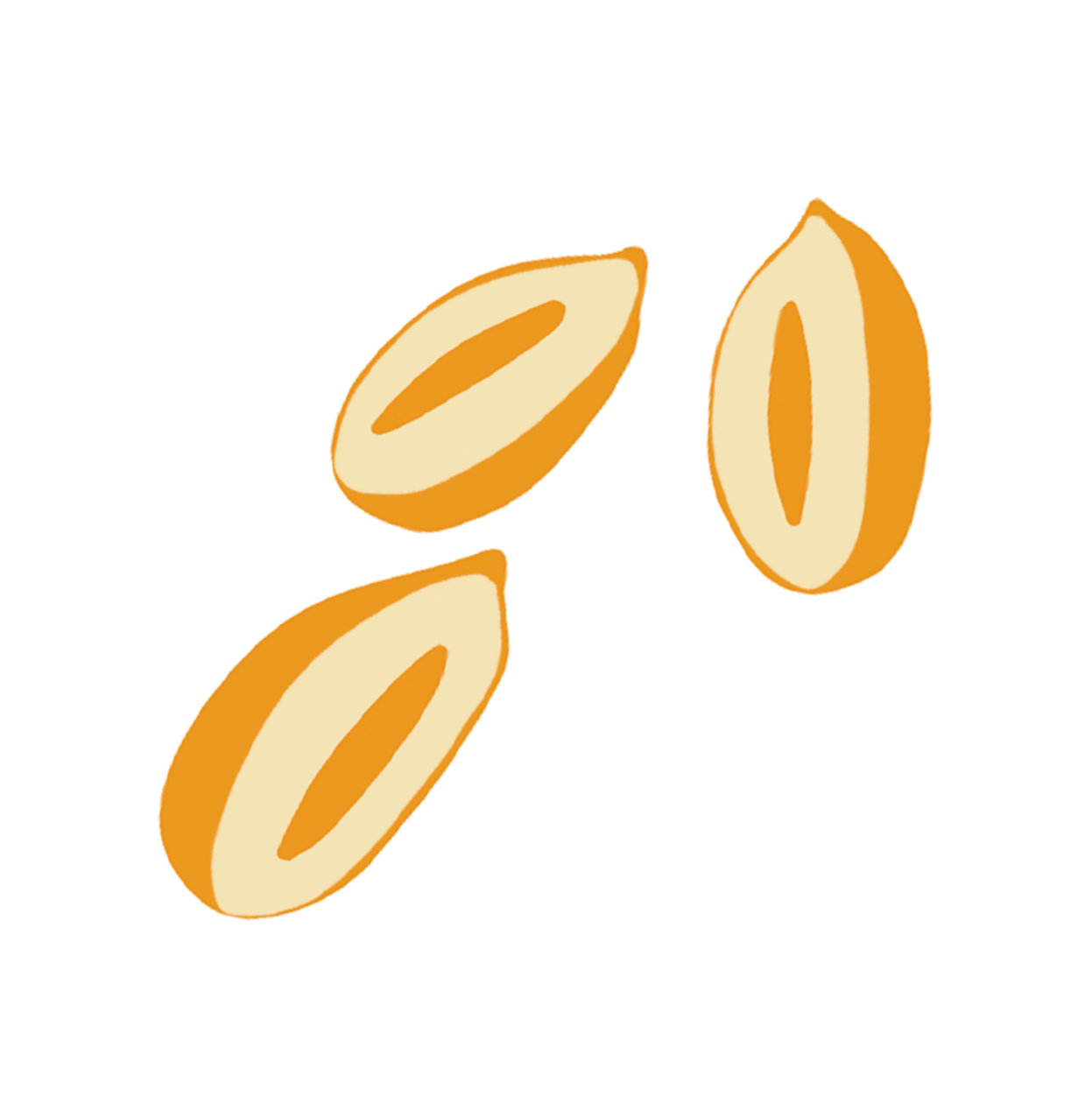 Cacahuète
