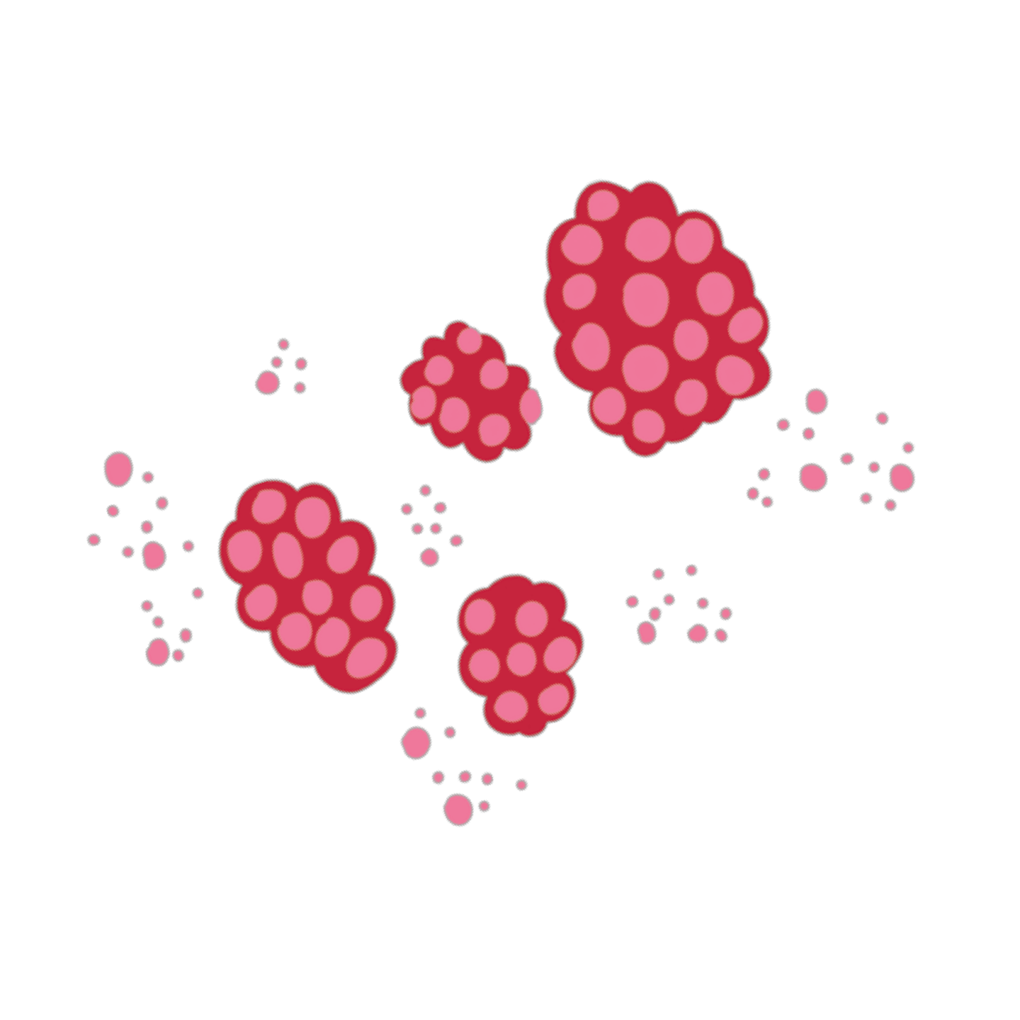 Framboise Hibiscus