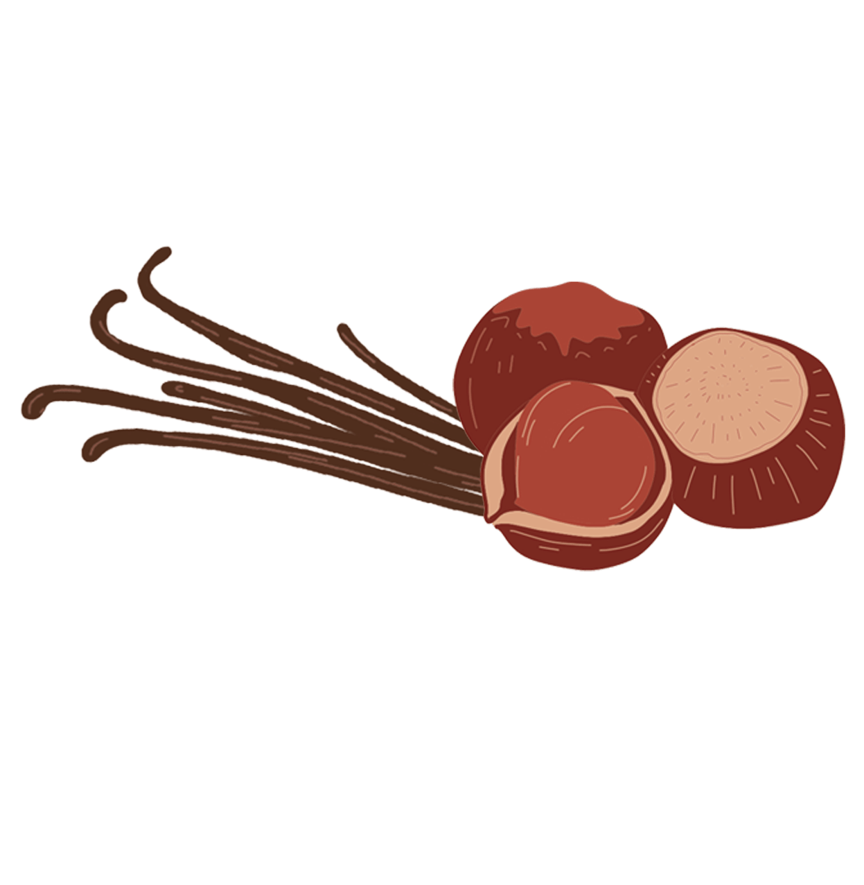 Noisette Vanille