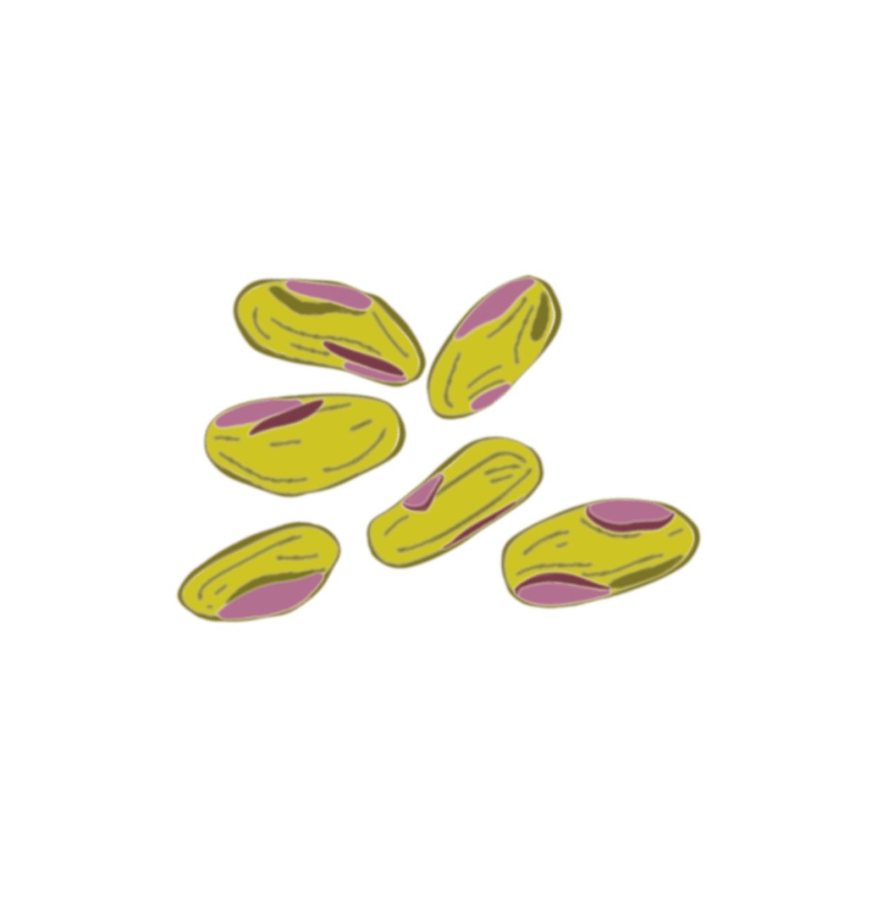 Pistache